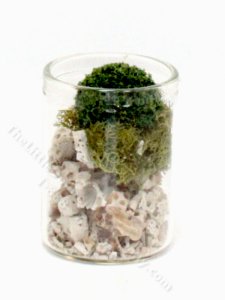 (image for) Miniature Hurricane Vase with Coral and Moss by PRD Miniatures