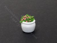 (image for) Miniature White Planter with Flowers