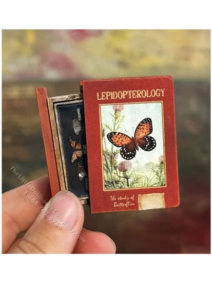 (image for) Miniature Curiosities Series - BUTTERFLIES Secret Book