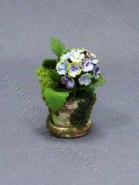 (image for) Miniature Purple Hydrangea in a Mossy Pot