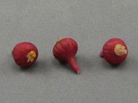 (image for) Dollhouse Scale Model Shallot