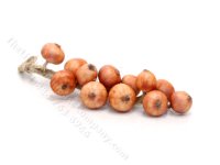 (image for) Miniature Onion Braid for Dollhouses