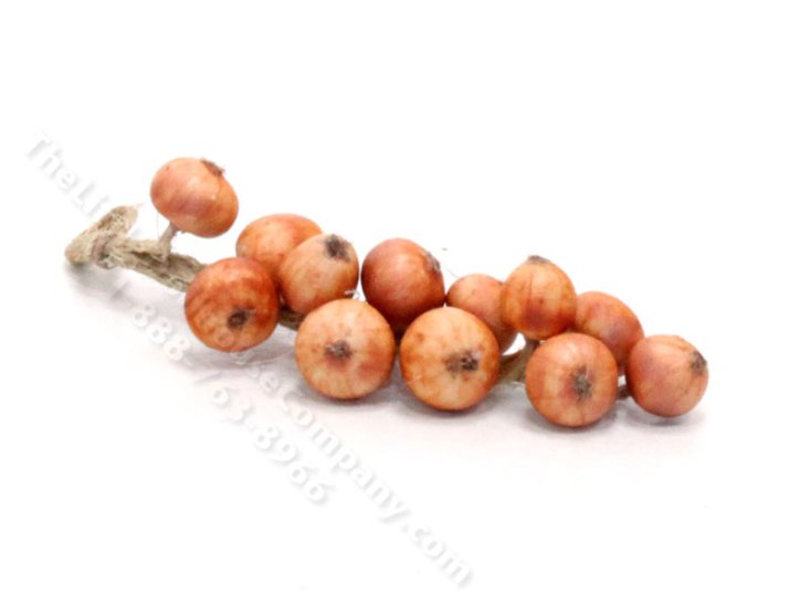 (image for) Miniature Onion Braid for Dollhouses