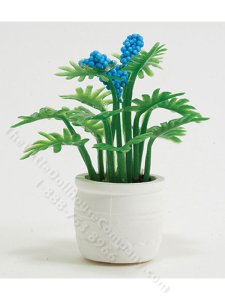 (image for) Miniature Plant with Blue Flowers