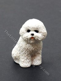 (image for) Miniature Bichon Frise Dog for Dollhouses