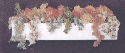 (image for) Miniature Window Box and Plants Kit