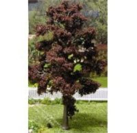 (image for) 8" Tall Trees Sugar Maple, 2/pkg