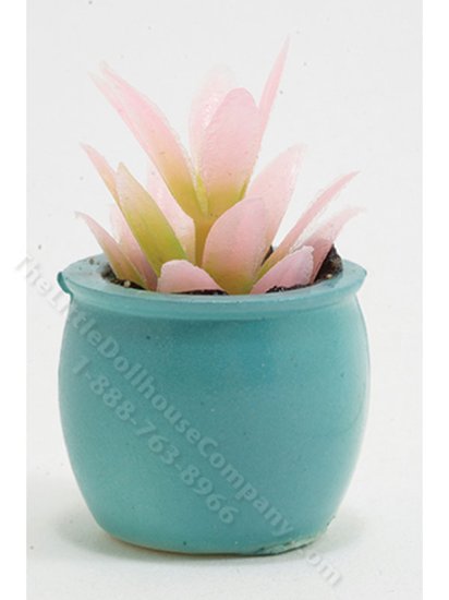 (image for) Miniature Pink Plant