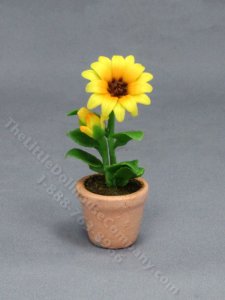 (image for) Miniature Single Potted Sunflower