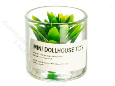 (image for) Miniature Succulent in a Glass Jar