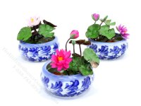 (image for) Miniature Water Lily and Koi Fish for Dollhouses (1pc)