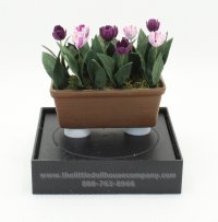 (image for) Miniature Tulip Window Boxes