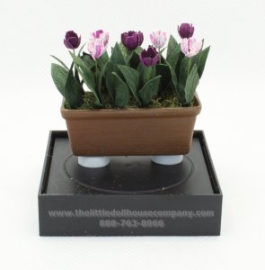 (image for) Miniature Tulip Window Boxes