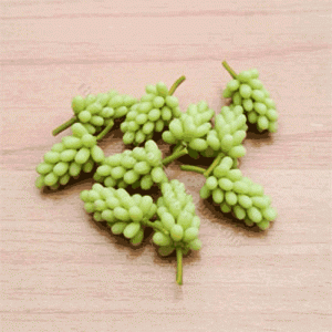 (image for) Miniature Bunch of Green Grapes