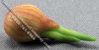 (image for) Dollhouse Scale Model Sprouting Onions