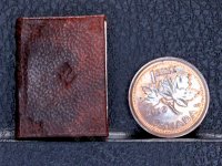 (image for) Miniature Book: 'Nature Printed Ferns'