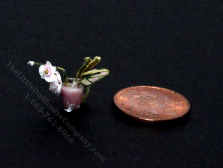 (image for) Handmade Miniature 1/4 Scale White Orchid for Dollhouses