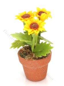 (image for) Miniature Potted Sunflowers (1pc)