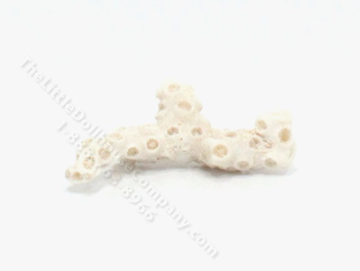 (image for) Miniature Piece of Coral by PRD Miniatures