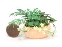 (image for) Miniature Oblong Clay Planter With Foliage
