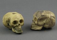 (image for) Skull