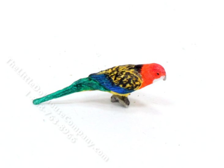 (image for) Miniature Eastern Rosella Parrot for Dollhouses