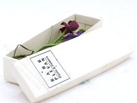 (image for) Miniature Box of Orchids by Barb Plevan