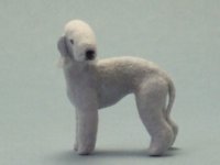 (image for) Miniature Standing Bedlington Terrier by Karl Blindheim