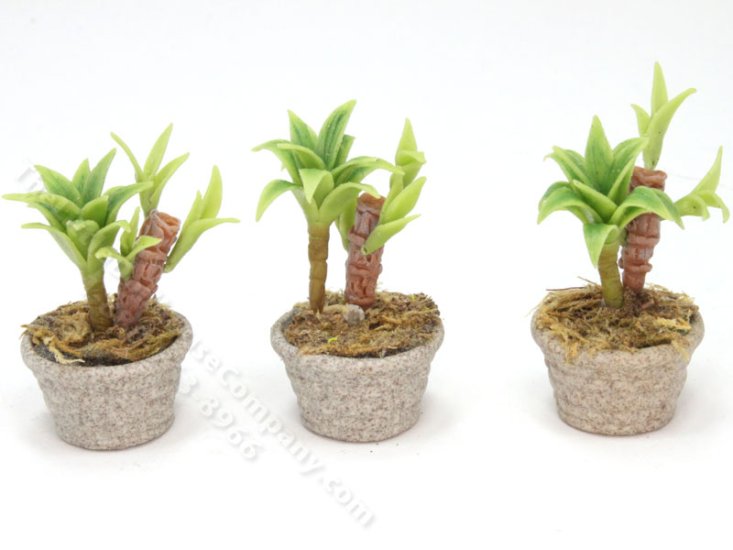 (image for) Miniature Potted Bamboo Plant (1 pc)