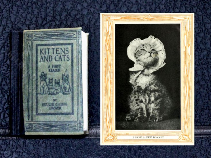 (image for) Miniature Illustrated Readable Book: 'Kittens & Cats'
