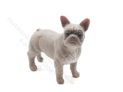 (image for) Miniature French Bulldog
