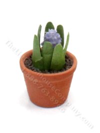(image for) Miniature Potted Succulent by Barb Plevan