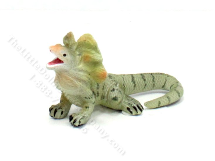 (image for) Miniature Frilled Lizard for Dollhouses