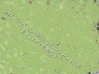 (image for) Miniature Green Loose Flocking for Dollhouses