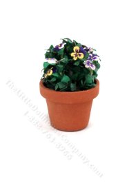(image for) Miniature Purple Pansies in a Pot