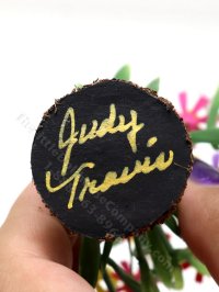 (image for) Miniature Cosmos in Soil with Butterflies by Mini Creations by Judy