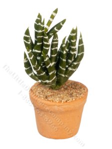(image for) Miniature Snake Plant for Dollhouses