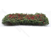 (image for) Miniature Climbing Rose Vine for Dollhouses