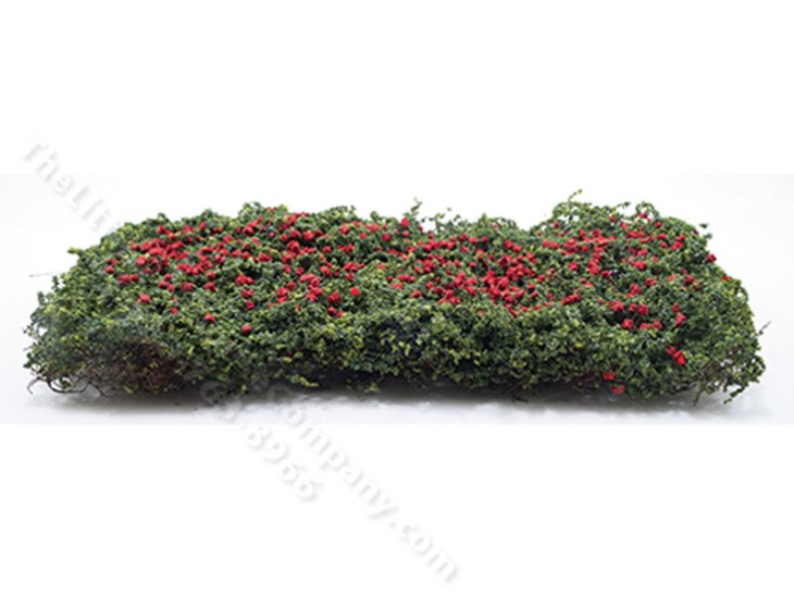 Miniature Climbing Rose Vine for Dollhouses [HH CACR] The Little