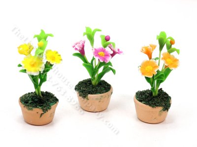 (image for) Miniature Dianthus Flowers in Terracotta Pot