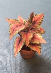 (image for) Miniature Coleus House Plant Kit For Dollhouses