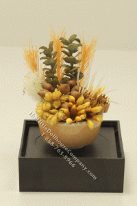 (image for) Dollhouse Miniature Succulent
