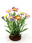 Miniature Cosmos in Soil with Butterflies by Mini Creations by Judy (image for) Miniature Cosmos in Soil with Butterflies by Mini Creations by Judy