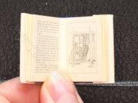 (image for) Miniature Book: 'Restoring a Doll's House'