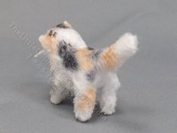 (image for) Miniature Long Haired Cat by Marie W. Evans - Calico