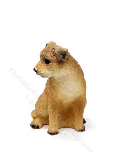A generic image