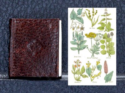 (image for) Miniature Book: 'Complete Herbal'