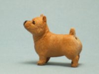 (image for) Miniature Standing Red Norwich Terrier by Karl Blindheim