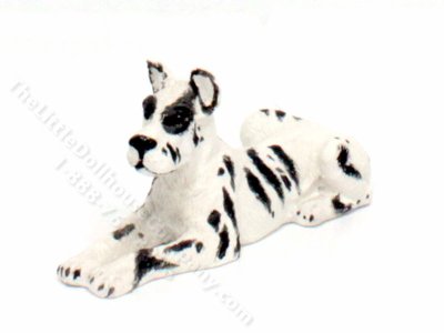 (image for) Dollhouse Black and White Great Dane Dog
