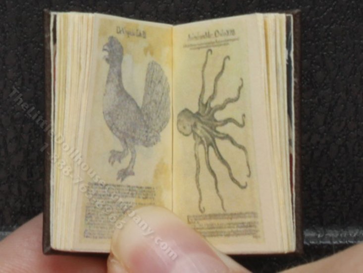 (image for) Miniature Book: 'Historiae Animalum'